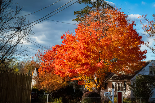 Wynantskill, NY - Oct 2025